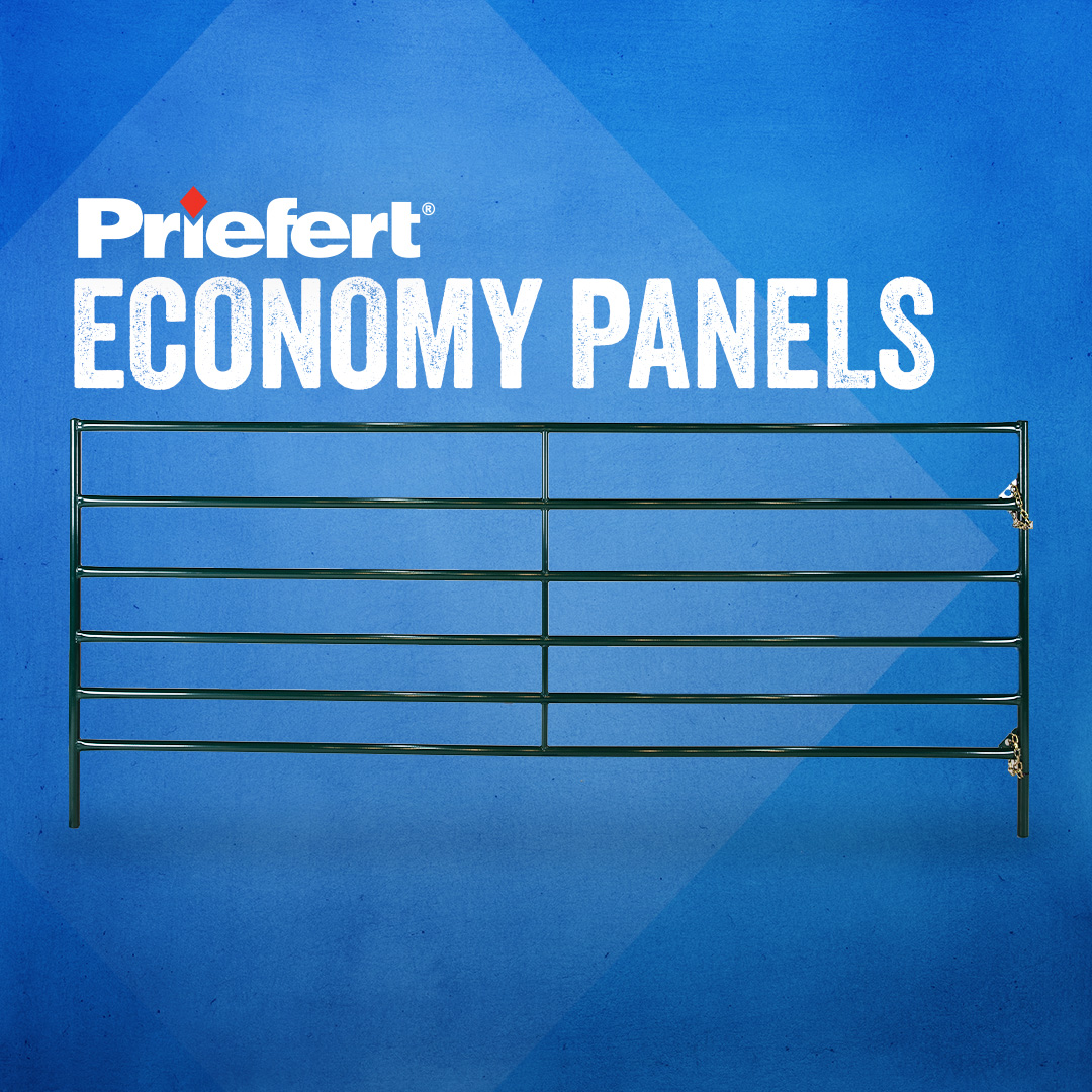 EconomyPanels.jpg